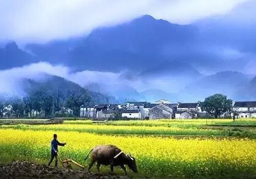 偷得浮生半日闲广东,偷得浮生半日闲鼎湖山之旅