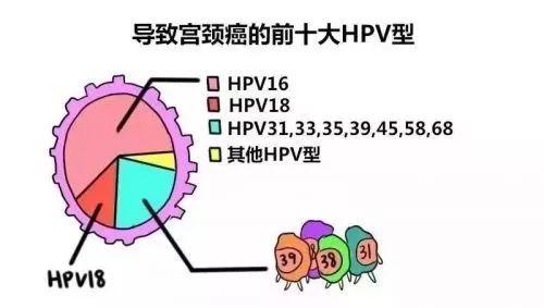如何预防hpv感染,如何避免感染hpv病毒