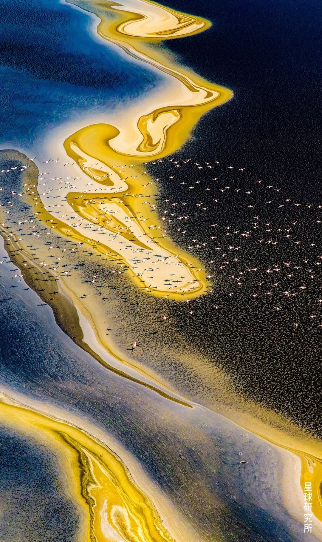 每一张图都有一个故事你想听哪个,每一张图都是清晰的记忆