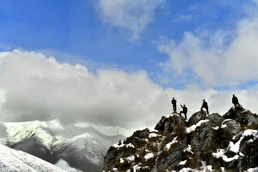 鐢樺瓬钘忓尯铏崏,鐢樺瓬搴峰畾铏崏鍗+