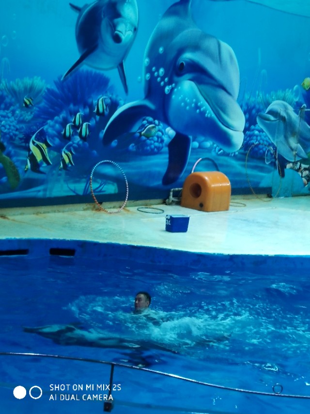 南京海底世界开放时间,南京海洋公园海底世界