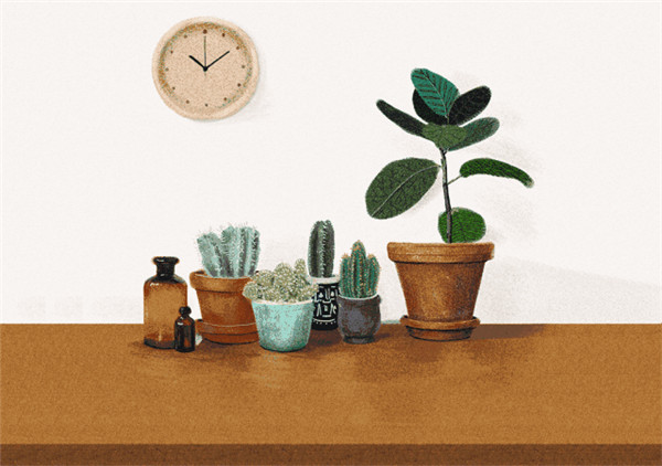 南洋迪克超级工厂行第七季,南洋迪克超级工厂行第9季