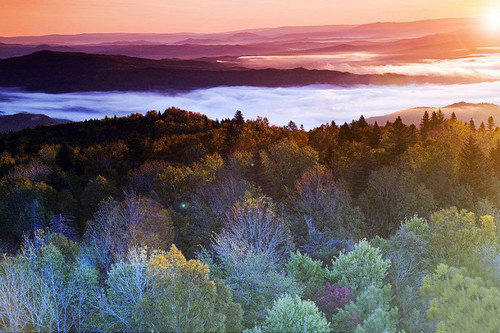 梦中仙境雾气,雾气淡怎么拍出来