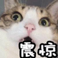 2022常熟离婚率,扎心离婚视频