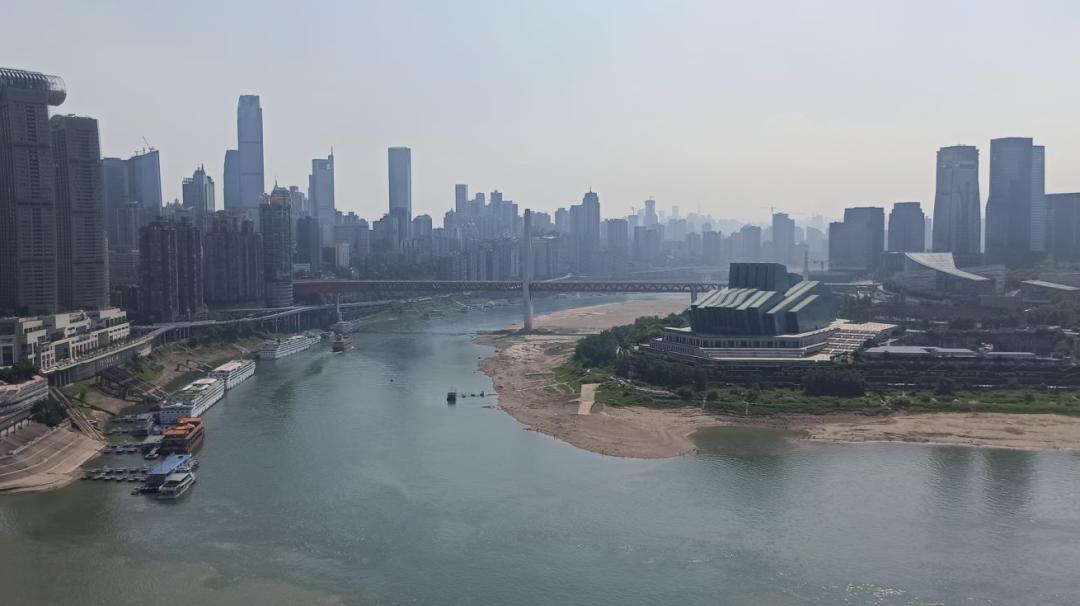 重庆房价为何跌得如此厉害,炒房客集中抛售房价