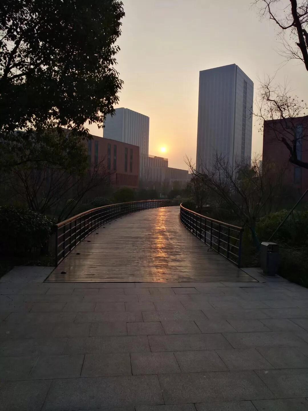 华为园区美如画，被吐槽说难怪华为人这么喜欢加班