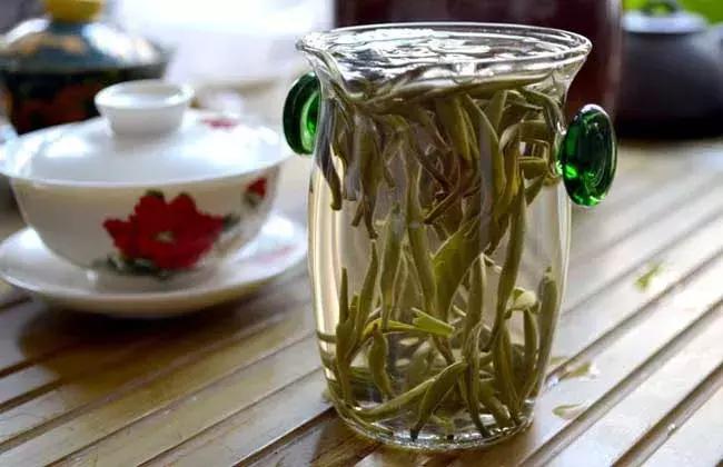 白毫银针生长过程,几百年的白毫银针