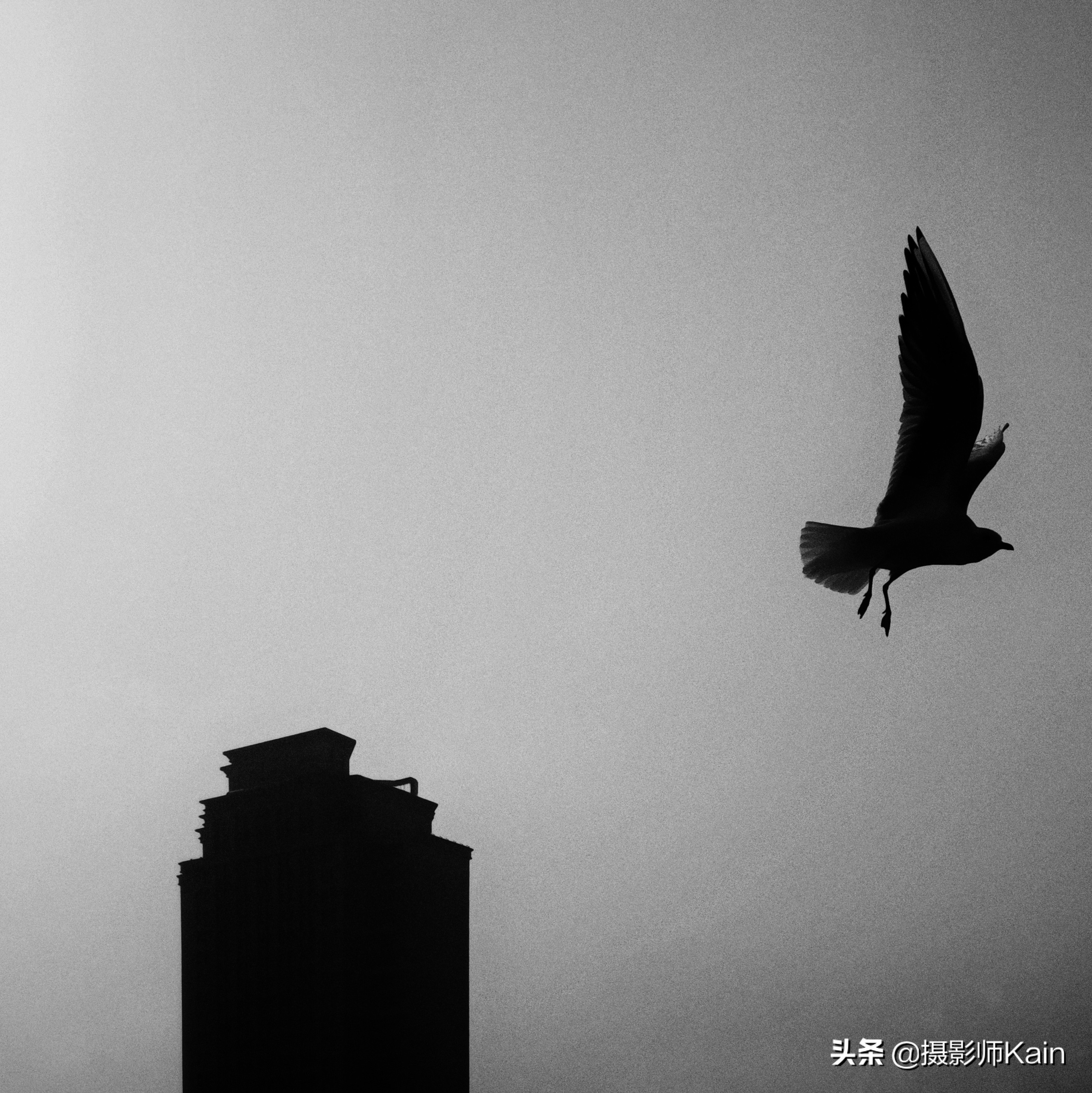 在平凡的场景中记录闪光的瞬间——专访摄影师zhaolei829