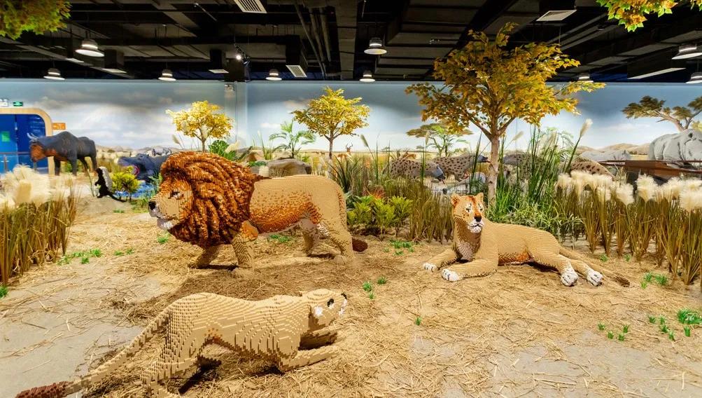 十大热门亲子乐园深圳,斥资两亿的游乐园