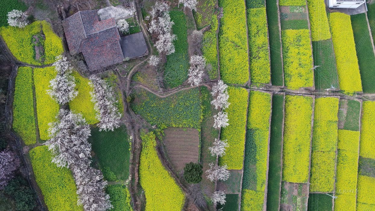 鍚嶈尪鍚嶆硥鏍囬,鍚嶅北鍚嶈尪鍚嶆硥