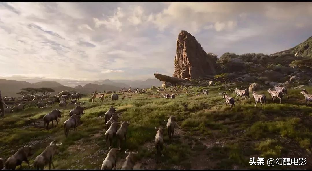 “这简直是草原上的灾难片，有人烧2.5亿拍出来毁一代人的童年”