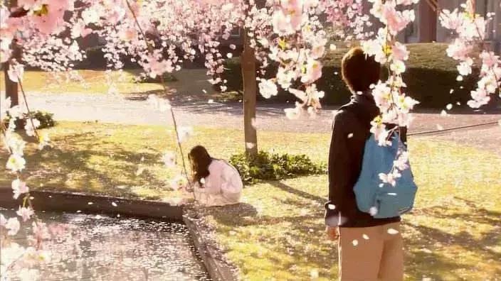 影帝和美食都带不动的深夜食堂，真的还要拍下去吗？