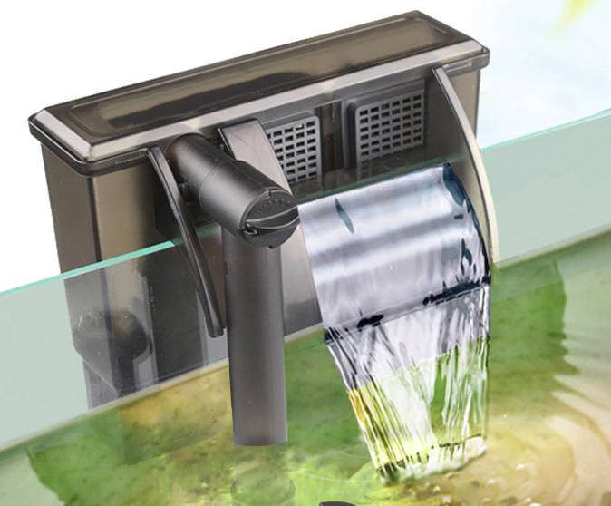 想养小龙虾需要什么知识,想养虾去哪里学技术