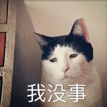 算了还是要上班系列表情包,一想到明天上班就想打个人表情包