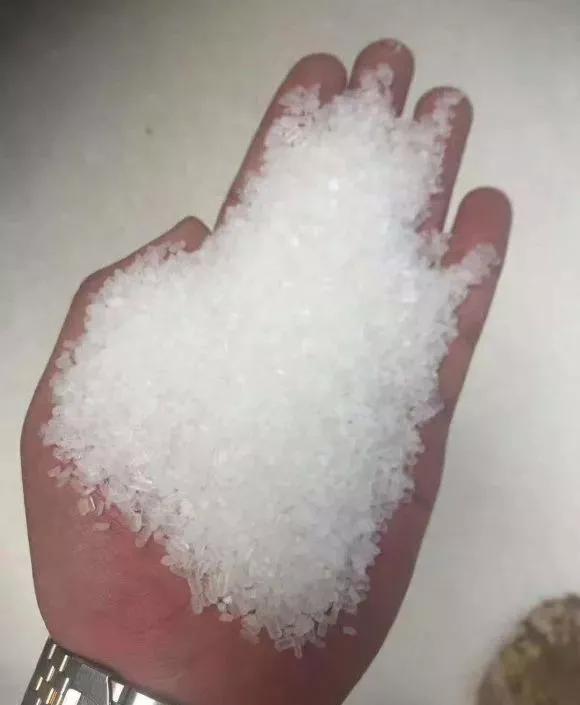 花儿闷根了怎么办,花儿栽上一天就蔫了怎么养护