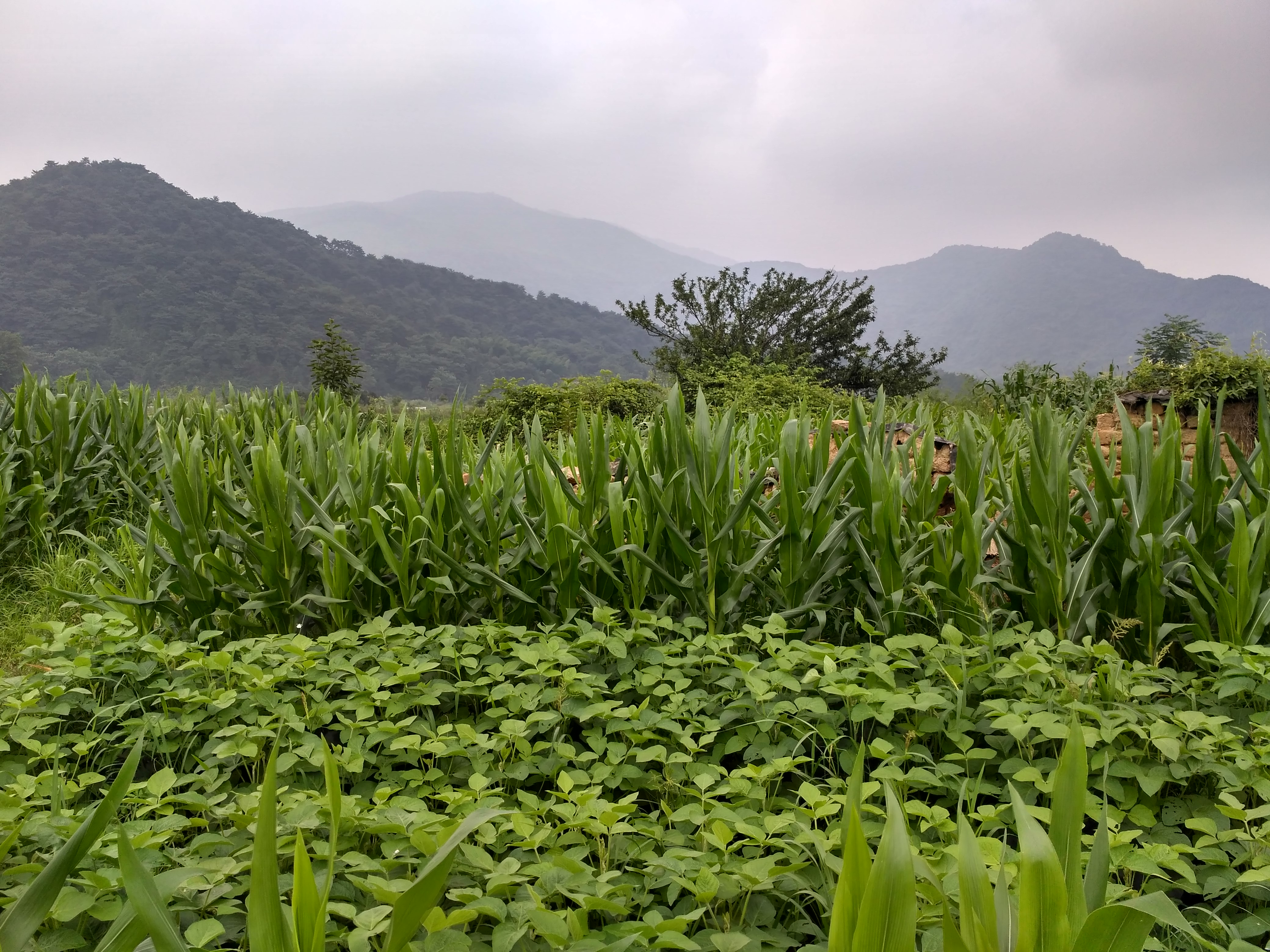 摩友一起骑行的视频,与摩友一起川藏