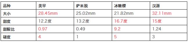 樱桃测评博主,樱桃测评