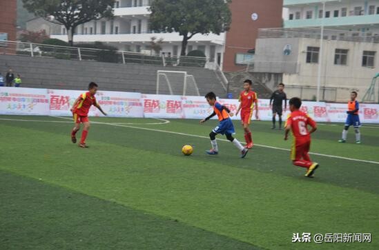 岳阳青少年足球联赛初中,岳阳洛王小学足球比赛