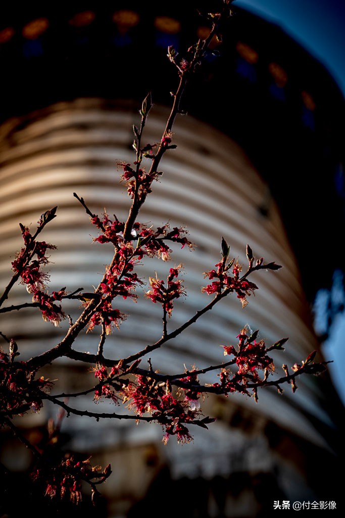 五台山白塔寺后面有什么寺,五台山白塔寺要门票吗