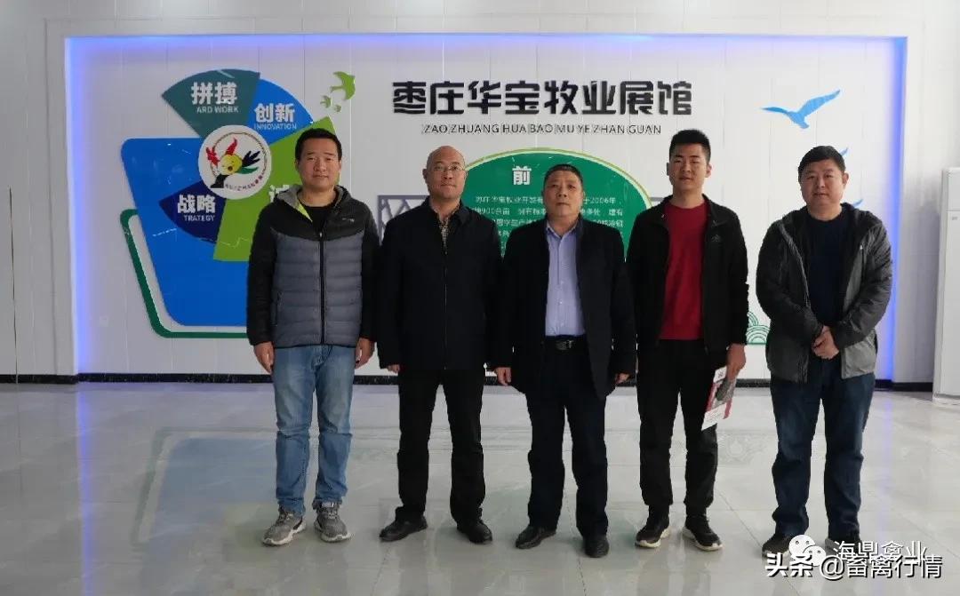 大商王老板，养殖有办法，与海鼎合作7年，说出心里话？