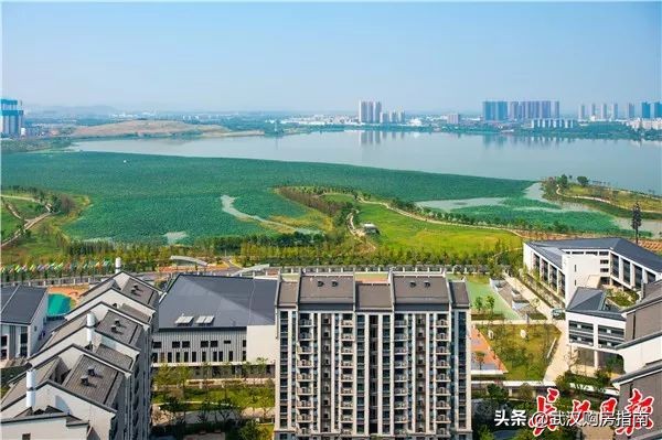 军运村开村，来看看村里长啥样