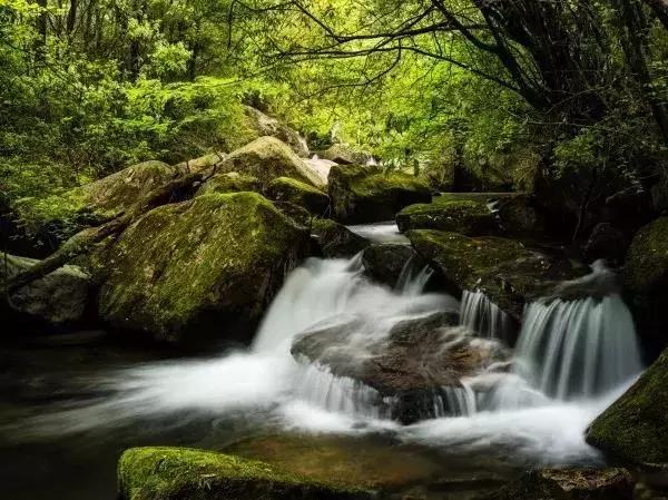 巴中南江要火了！入选国家生态示范县