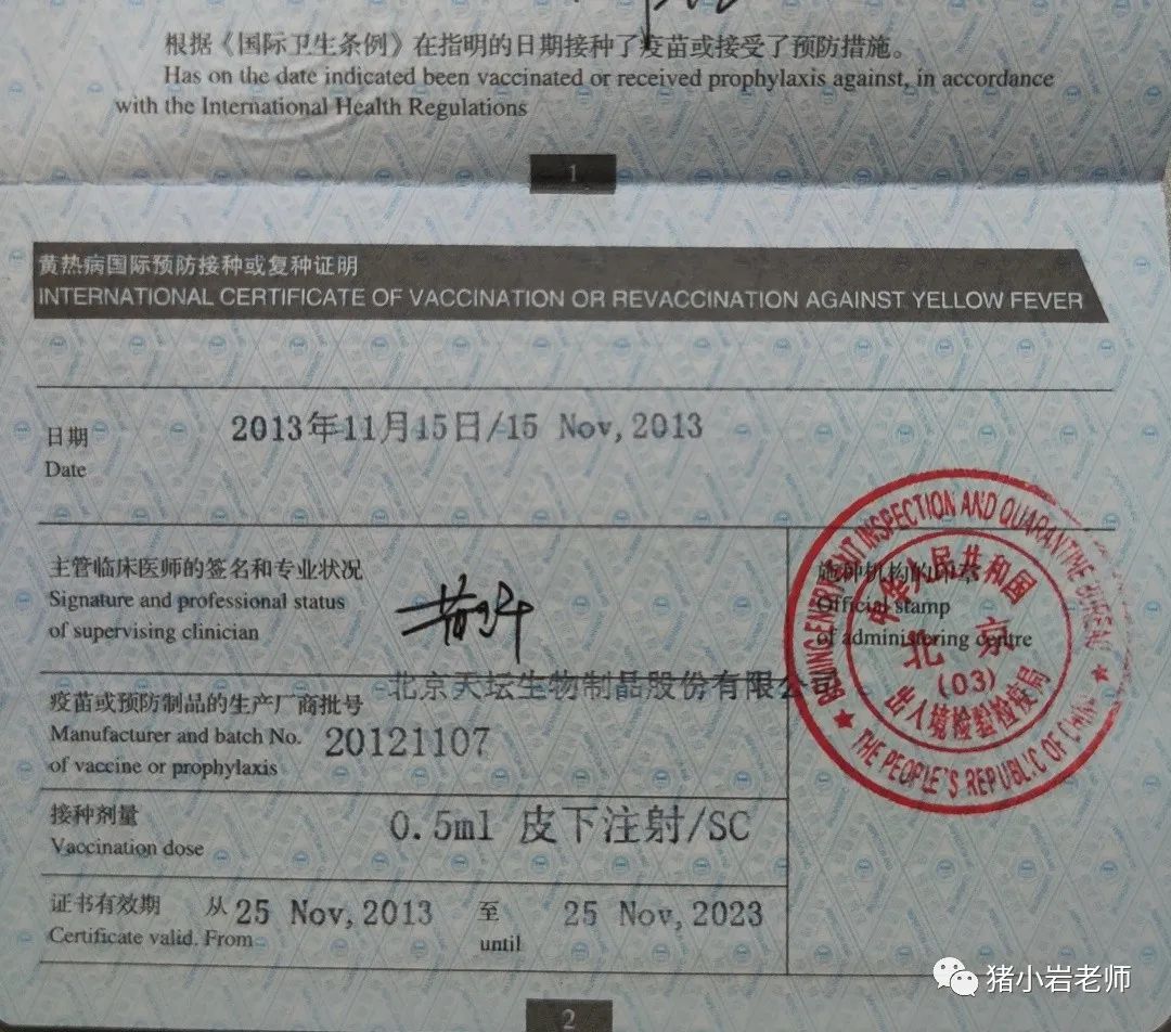 2020年都过完了，我才突然想起曾距这种致命病毒如此之近