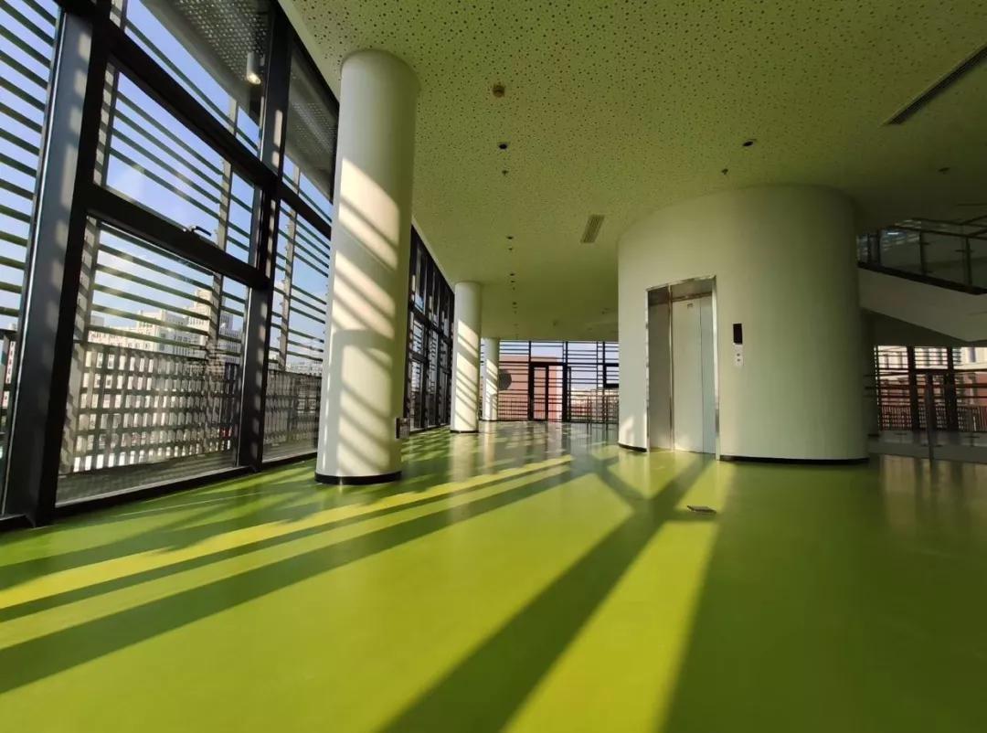 西安交大和米兰理工大学,终于等到你大学版