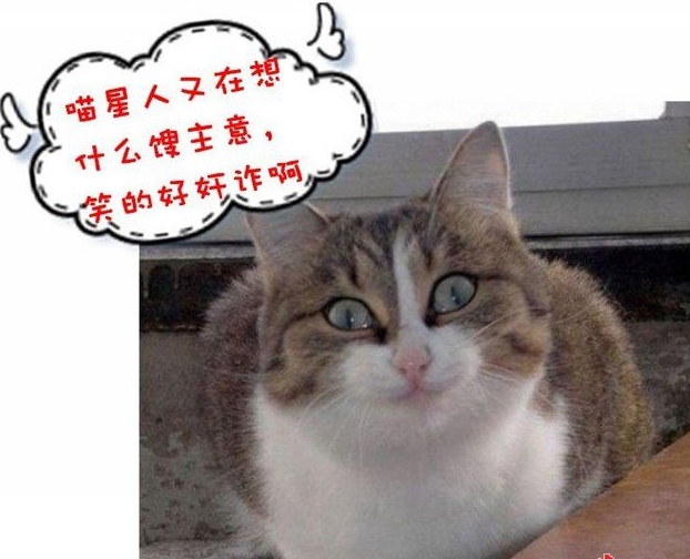 这些不起眼的暴利小生意,几个冷门暴利小生意