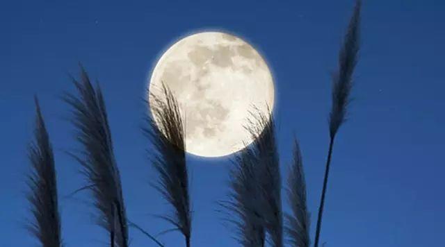 最浪漫的古诗词,古诗词中最浪的八句表白