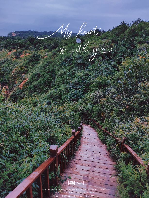 葫芦岛最低调的市,葫芦岛兴城市怎么样