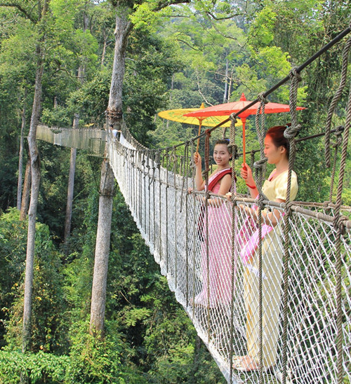 西双版纳旅游攻略最新详细,西双版纳旅游高端攻略