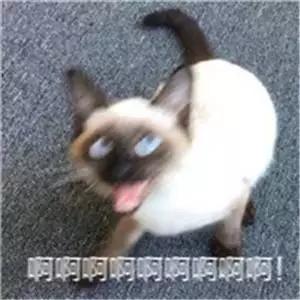 做好的表格内容丢了怎么找回,做好表格忘保存怎么找回