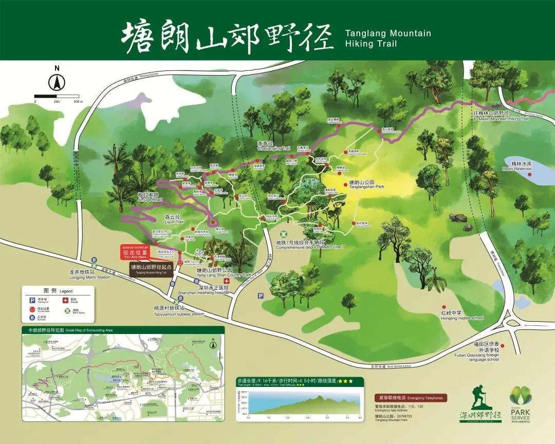 深圳首条手作“原始登山道”，人少好爬景色超美…过年去哪不用愁