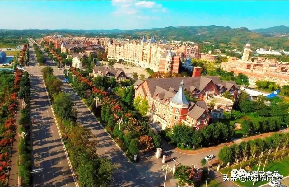 金堂人，你身边这条街已入选成都“最美街道”！