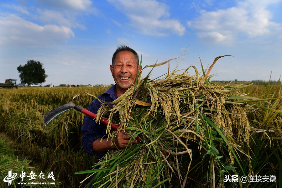 2018，安徽印象「徽镜映像工作室一年图片精选」