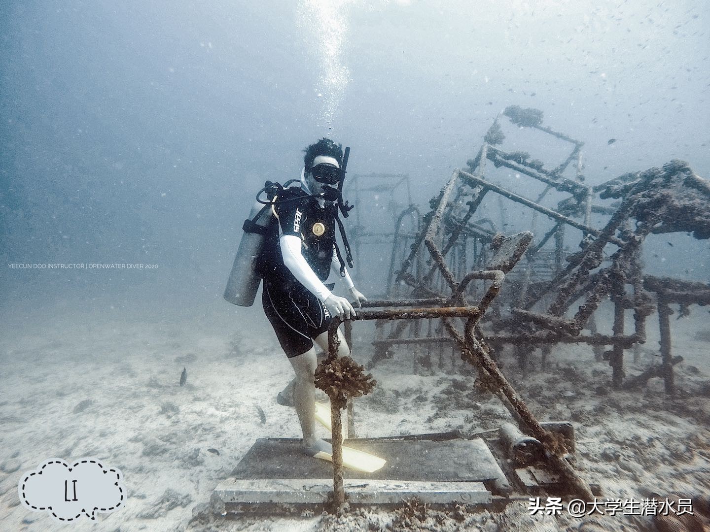 竟然只要两千去考潜水证考证细节须知学潜水前必看2-刁曼岛
