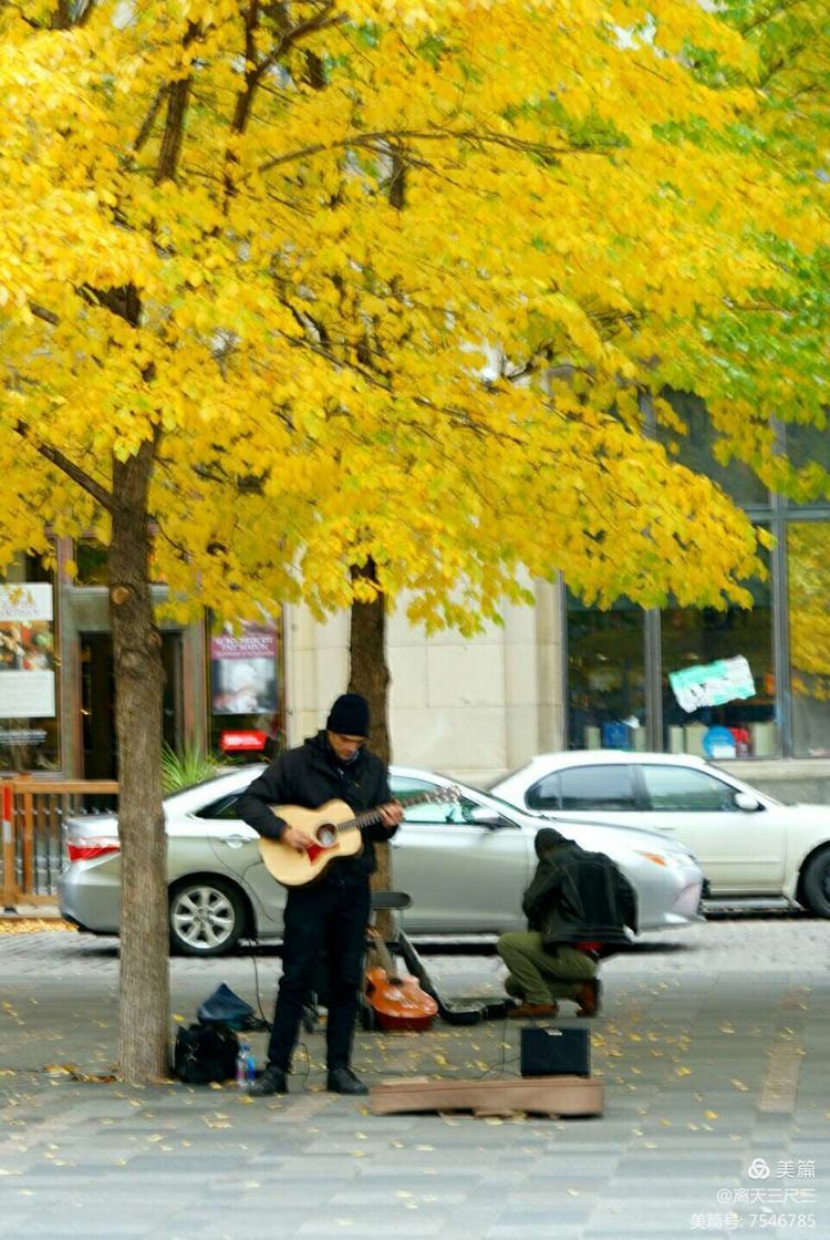 漫步魁北克体验不一样的北美风情,北美枫情蒙特利尔