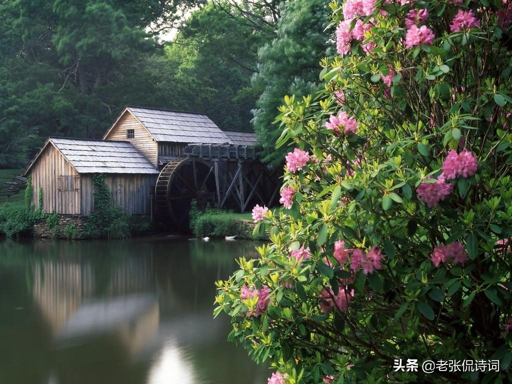 李白最有仙气的五句诗的标准答案,李白潇洒大气的九句诗