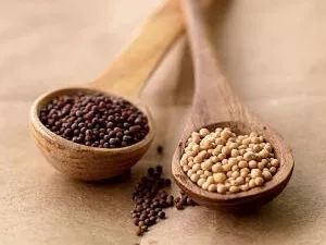 进口知识,进口零食知识