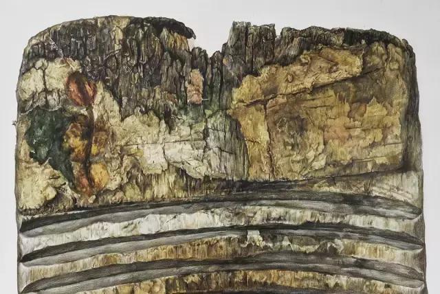 央美精微素描作画过程,央美精微素描17级