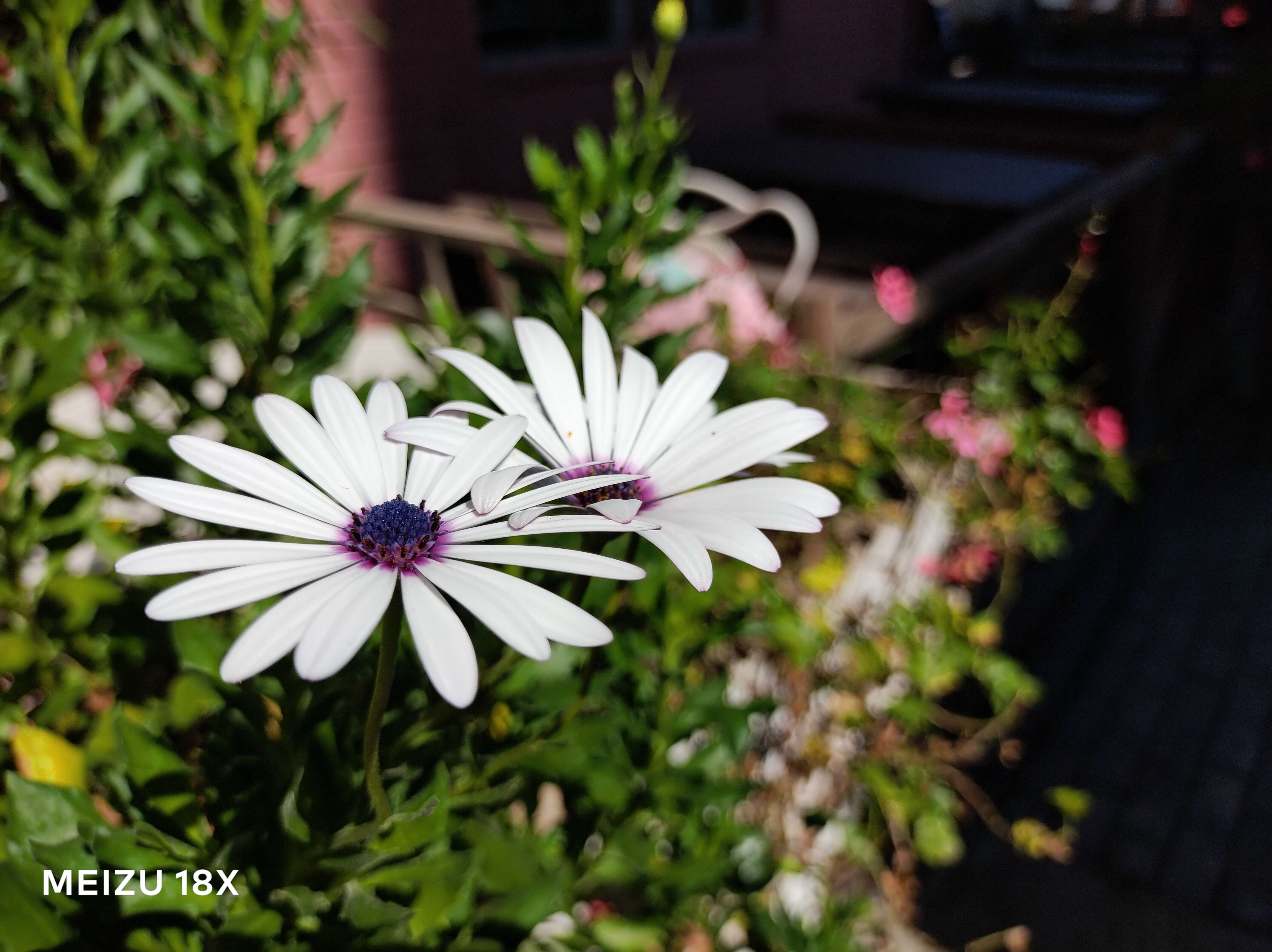 魅族18x屏幕深度评测,魅族18x处理器是残血版还是满血