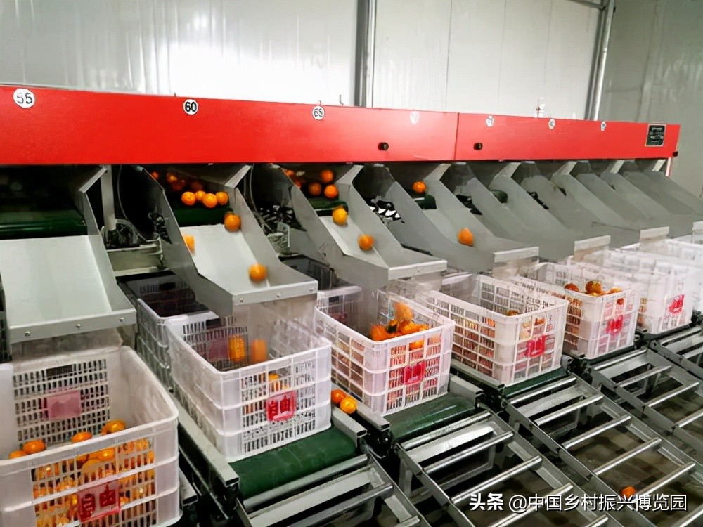 乡村振兴领域涉及哪些部门,乡村振兴最全解读