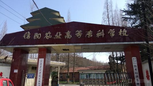 河南最坑人的十大专科学校,河南十大坑人专科学校