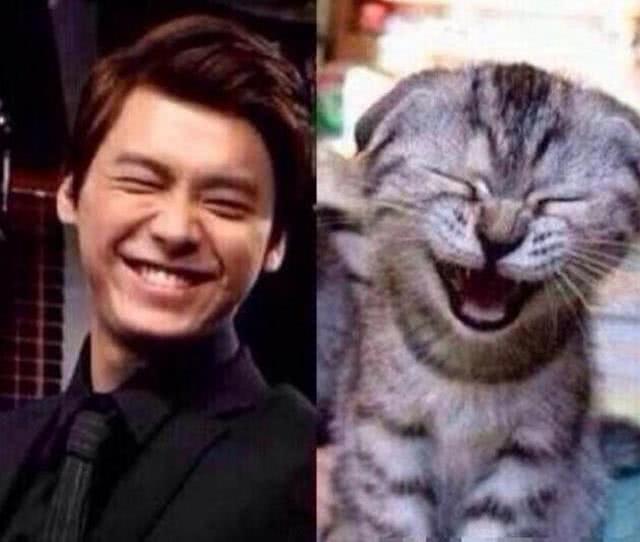 明星撞脸不可怕性别不同就尴尬,意想不到的明星撞脸