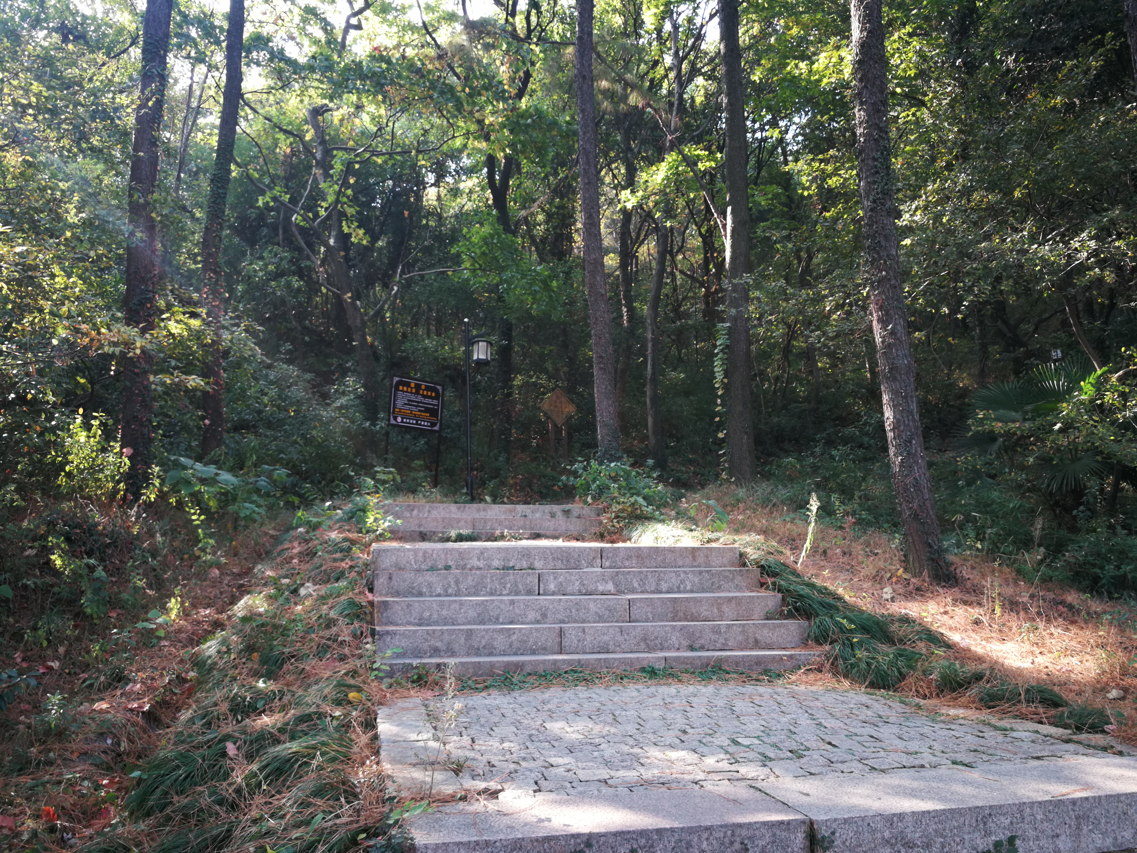 苏州上方山森林公园项目,苏州上方山森林公园好吗