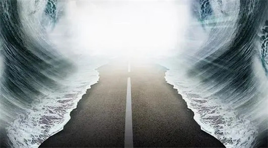 新冠肺炎二手车会降价吗,新冠汽车停产了吗