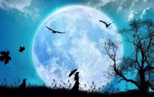 明代才子，诗文书画都是一流，这首关于月亮的词，更是超凡脱俗