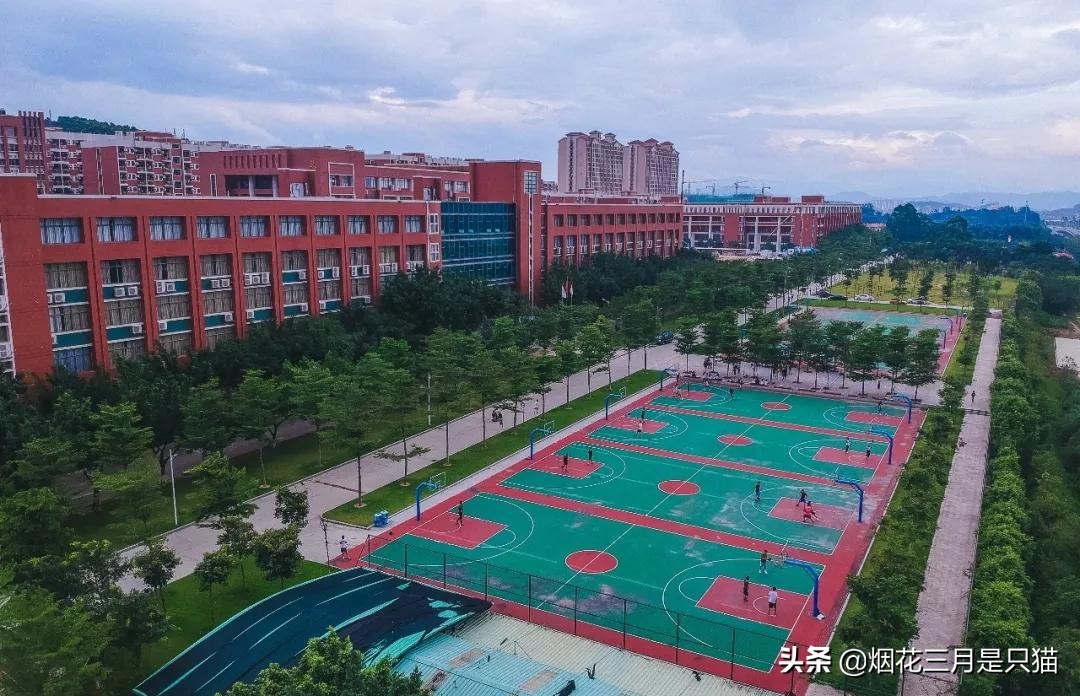 还在为选学校发愁吗,还在为选项目发愁吗