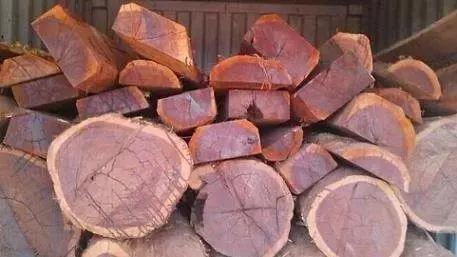 如何避免买到假红木,最不容易造假的红木